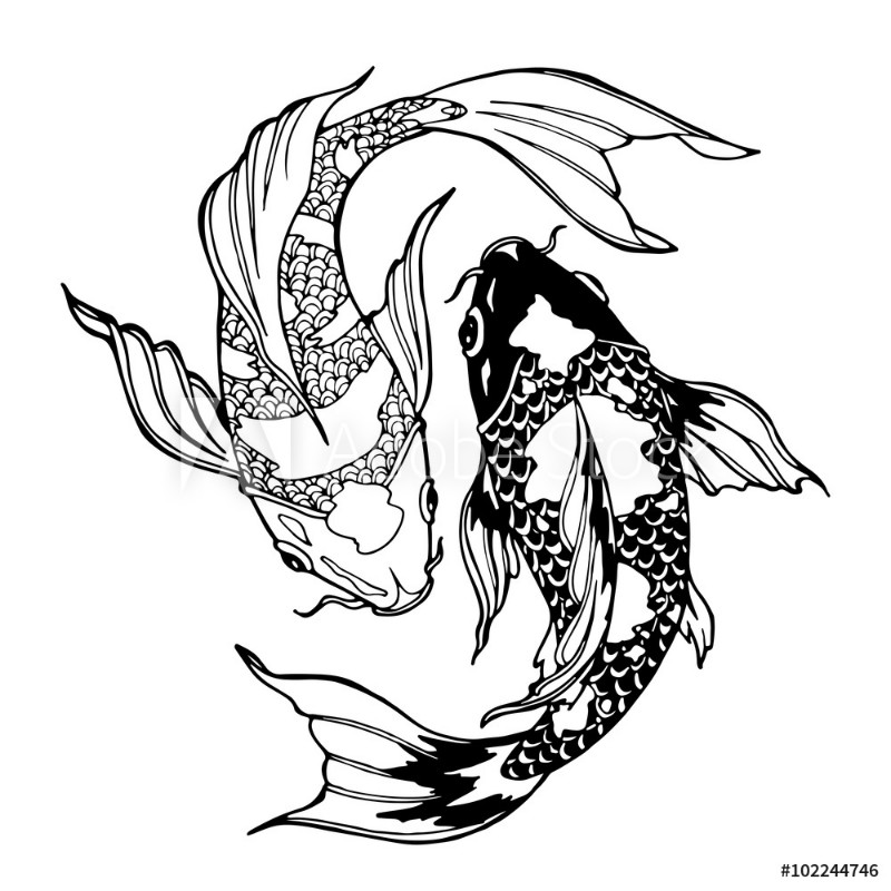 Afbeeldingen van Koi fish ying yang symbol